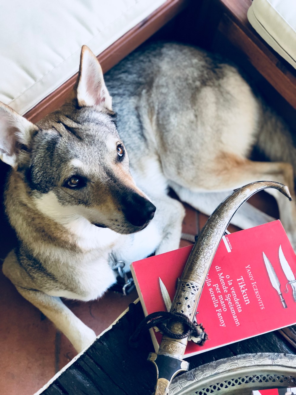 Tikkun Yaniv Iczkovitz roberta giulia amidani